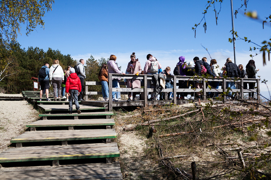 «Надо что-то делать, это нереально»: Куршская коса едва справляется с турпотоком