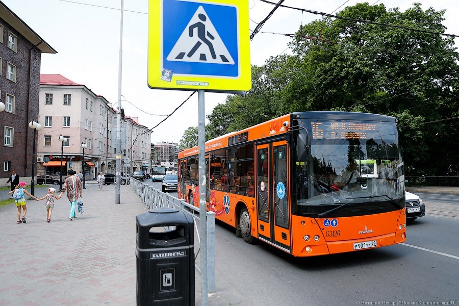Мэрия: с 1 марта в Калининграде меняется схема общественного транспорта (список)