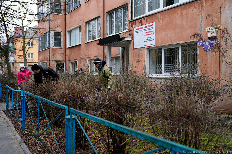 Теория целых окон: волонтеры пытаются спасти здание на Расковой с помощью уборки (фото)