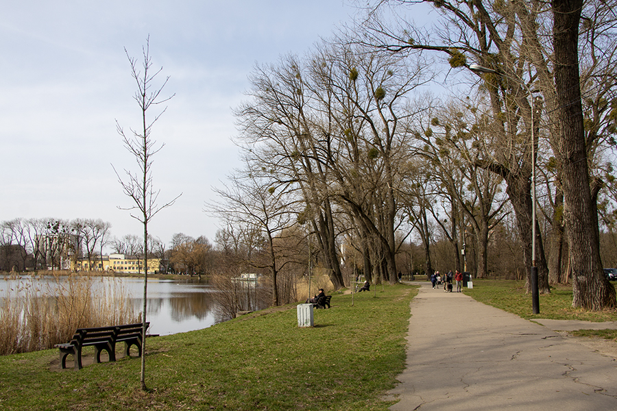 Контрастные выходные, осадки и холод: прогноз погоды в Калининграде на выходные и далее