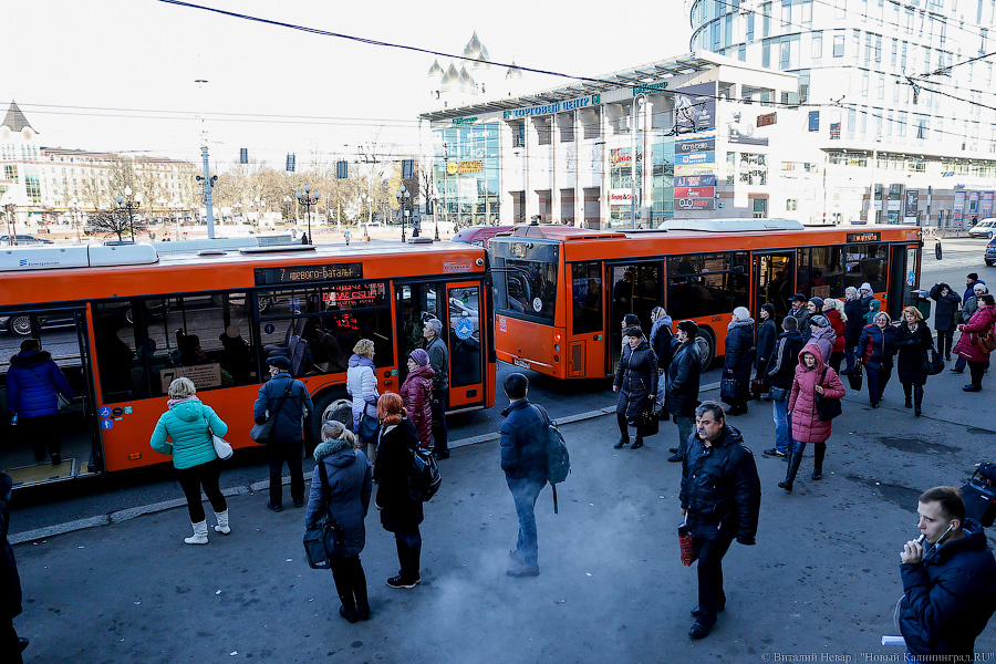 «Как получается, так и едем»: 10 вопросов к муниципальному «ГорТрансу»