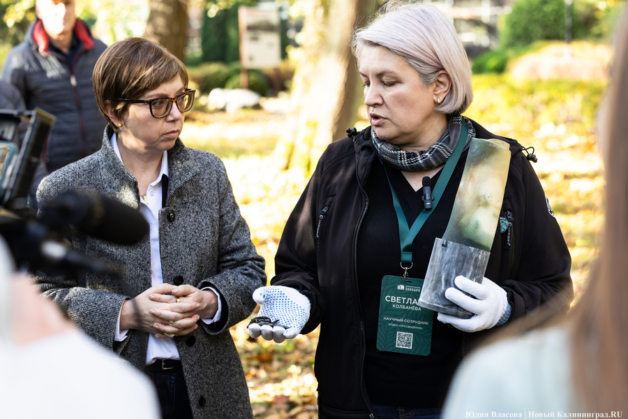 Эхо прошлого: в Калининградском зоопарке извлекли 94-летнюю «капсулу времени» (фото)