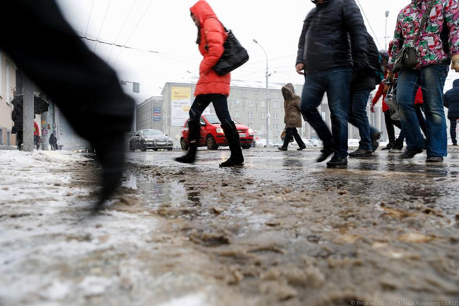 Белый снег, серый лёд: зима в Калининграде (фото)