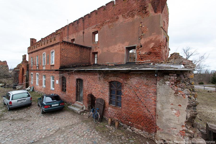 «Шаакен, волонтеры и кот Воровай»: фоторепортаж «Нового Калининграда.Ru»
