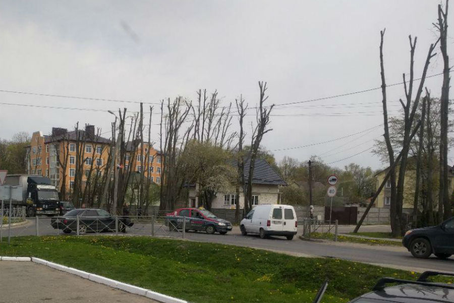 Столкнувшиеся «Ауди» и «Рено» сильно затруднили въезд в Гурьевск (фото)