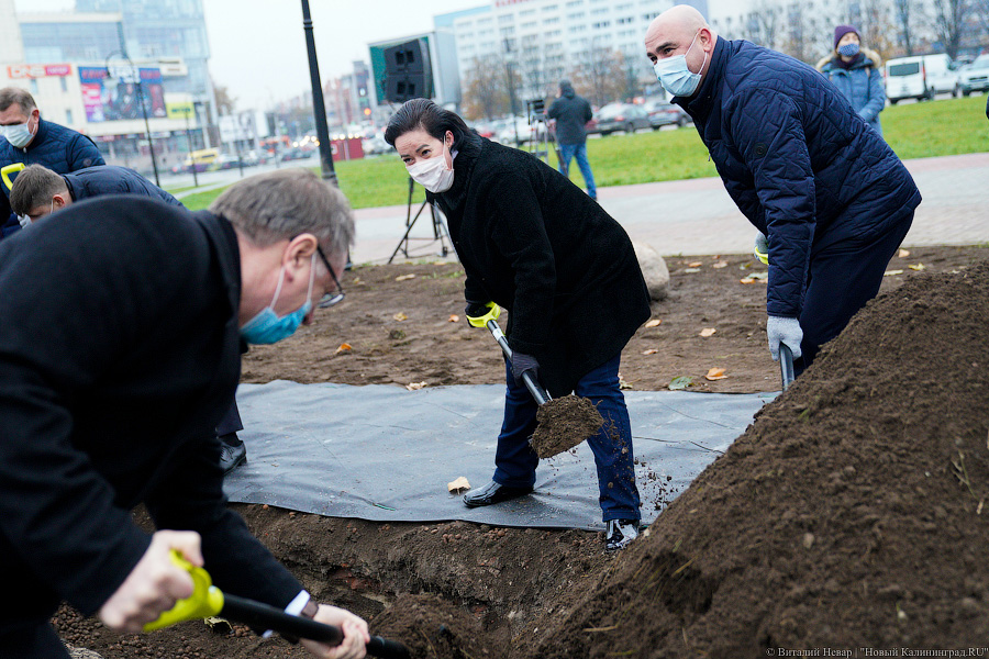«Платанические» отношения: чиновники и бизнесмены посадили аллею у Дома Советов (фото)
