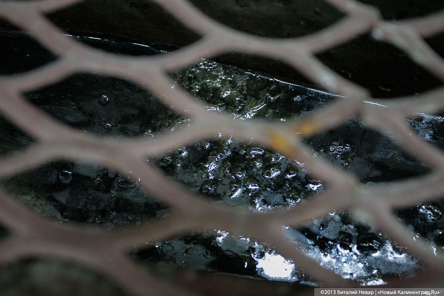 Правительство области собирается провести инаугурацию очистных Калининграда