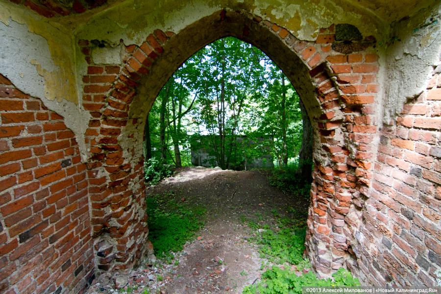 Черепки и воронки: «черные копатели» регулярно разграбляют руины кирхи в Корнево