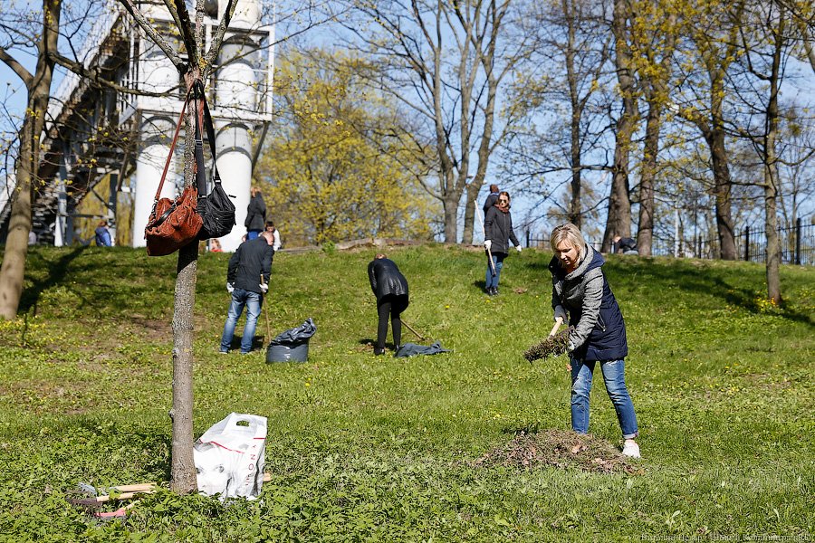 С метлой в руках: в парке Победы прошёл общегородской субботник