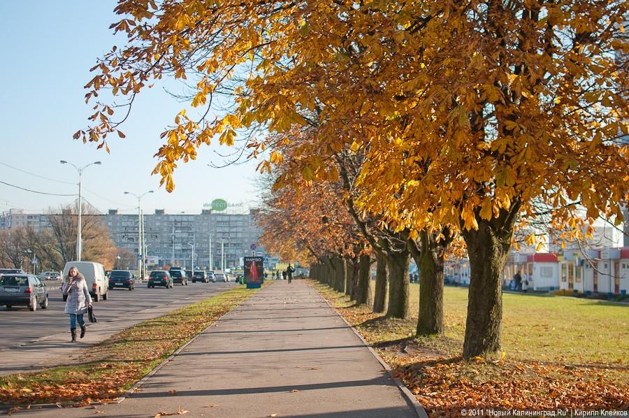 "11.11.11": фоторепортаж "Нового Калининграда.Ru"