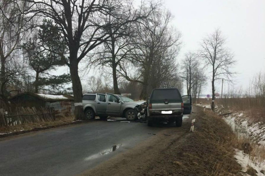 Под Гурьевском в лобовую столкнулись два авто, водители в больнице (фото)
