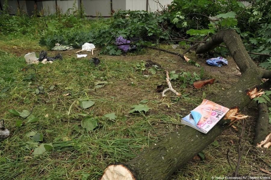 Последствия погрома на Ялтинской: фоторепортаж "Нового Калининграда.Ru"