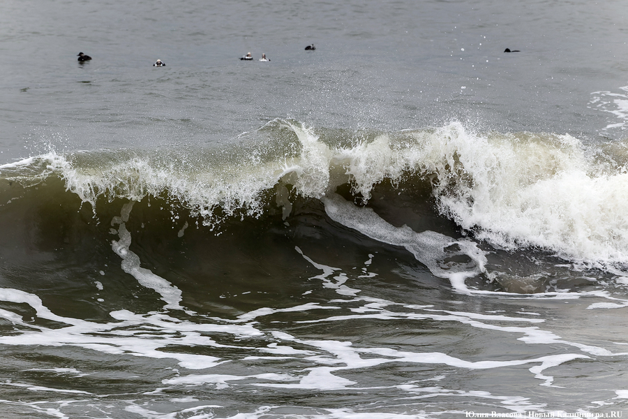 Штормовая вселенная: как циклон «Золтан» накрыл Зеленоградск (фото)