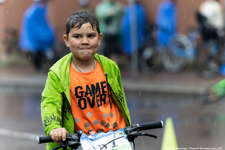 «Море положительных эмоций»: в Калининграде прошёл велопарад «День колеса» (фото)