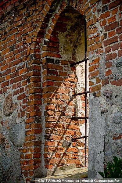 Навоз и куры: кирха 14-го века в поселке Каштаново стала пастбищем для скота