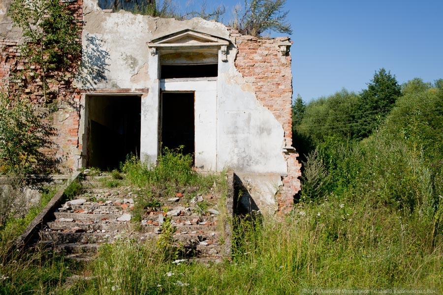 «Если не продадим, растащат»: усадьба поселка Лужки в проекте «Пустые дома»