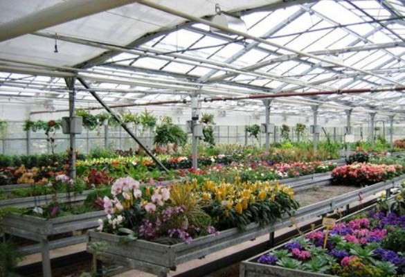 Поликарбонат от «Пласт Хаус»: уверенность в качестве с гарантией до 15 лет  