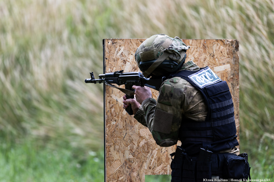 Таможенный спецназ: как проходит чемпионат по служебному двоеборью в Калининградской области (фото)