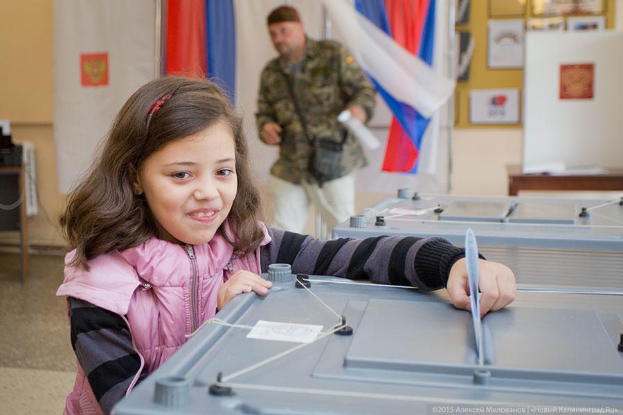 Спрос под стать предложению: как прошёл день голосования в Калининграде