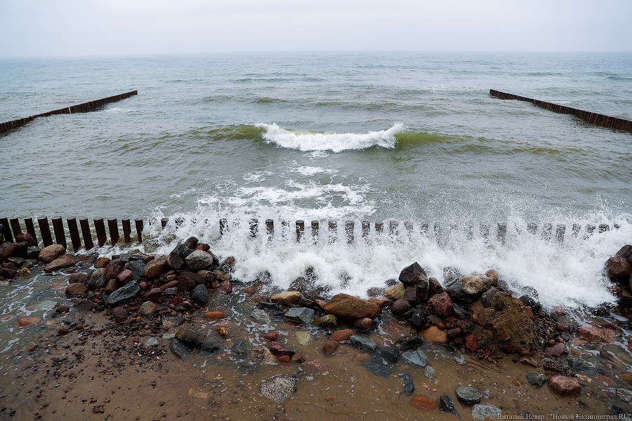 Много лиственницы и чуть песка: как выглядит светлогорский «пляж»  