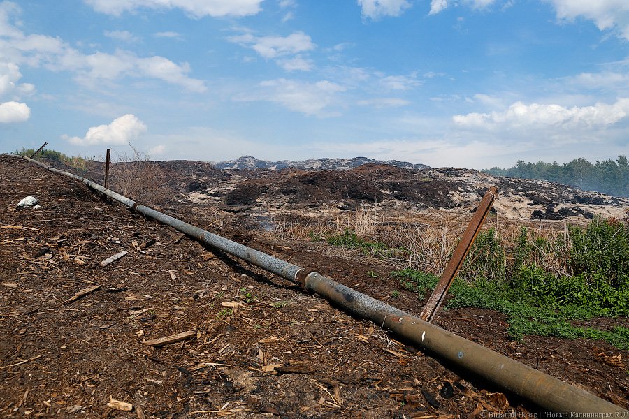 «Пламя из недр»: что происходит на горящих короотвалах в Калининграде (фото)