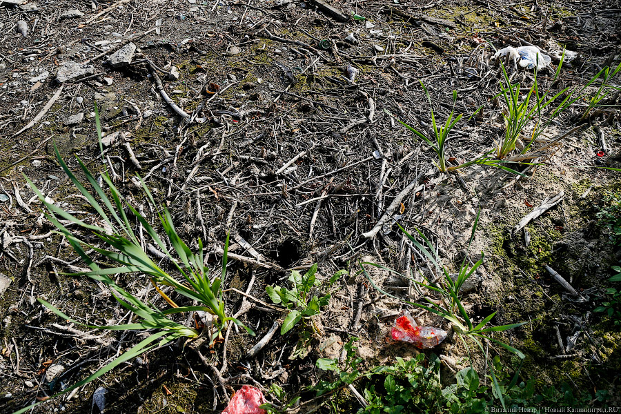 В регионе у собственника изъяли сельхозучасток из-за длительного неиспользования