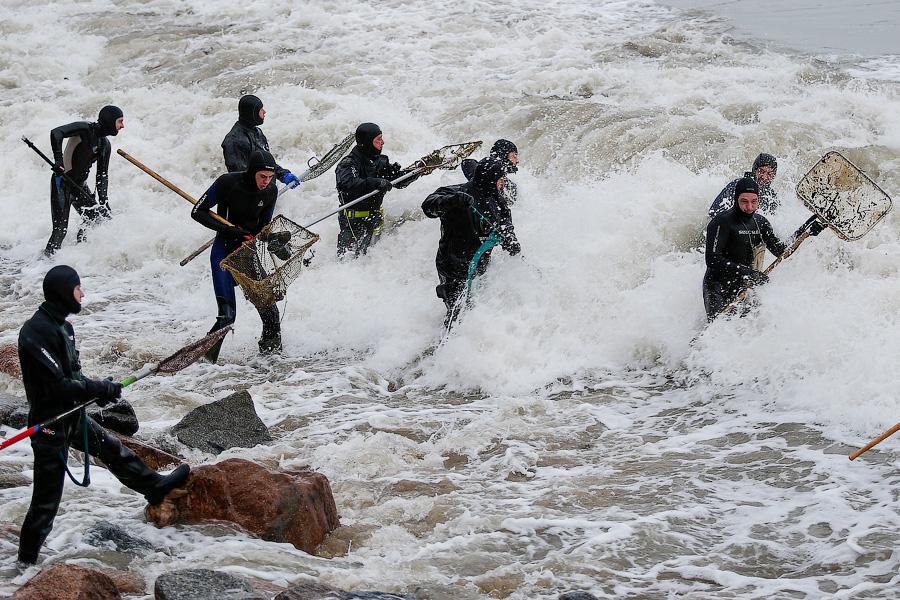 В набежавшую волну: как ловят янтарь на Балтике (фото)