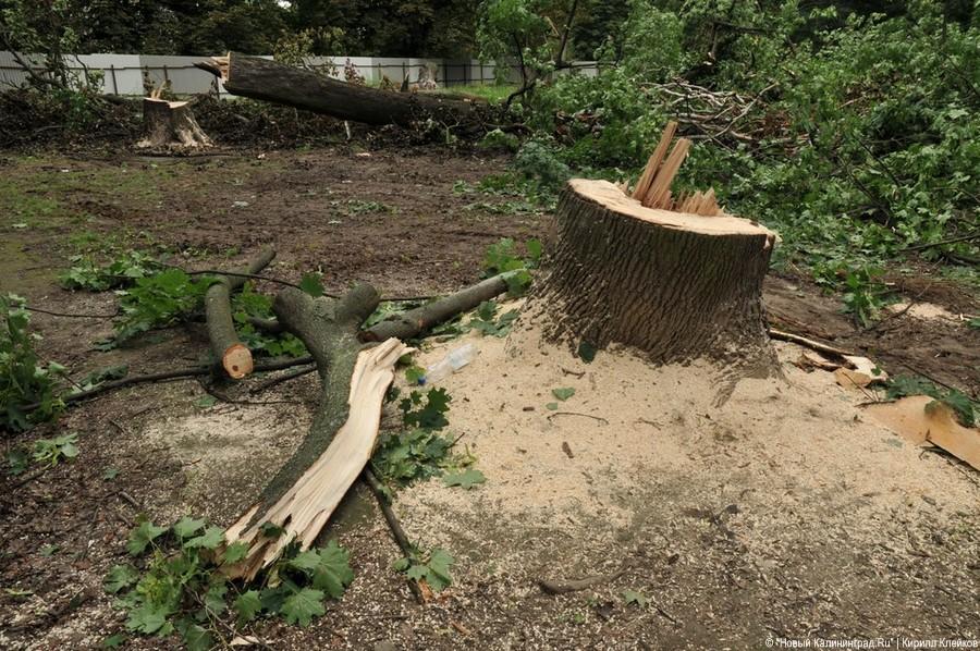 Последствия погрома на Ялтинской: фоторепортаж "Нового Калининграда.Ru"