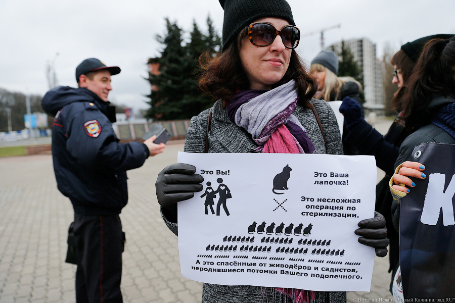 Вместе против живодеров: в Калининграде митинговали в защиту животных