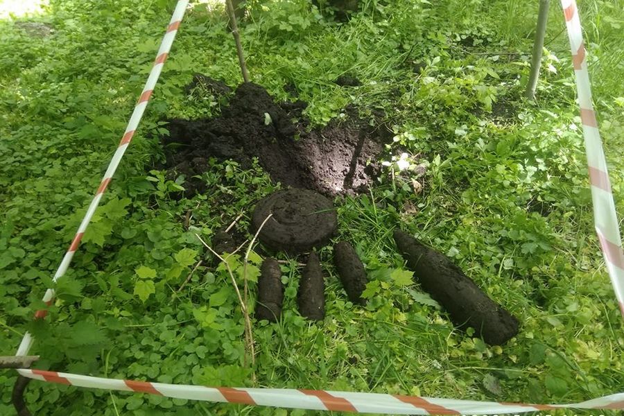 Фото: Калининградский зоопарк
