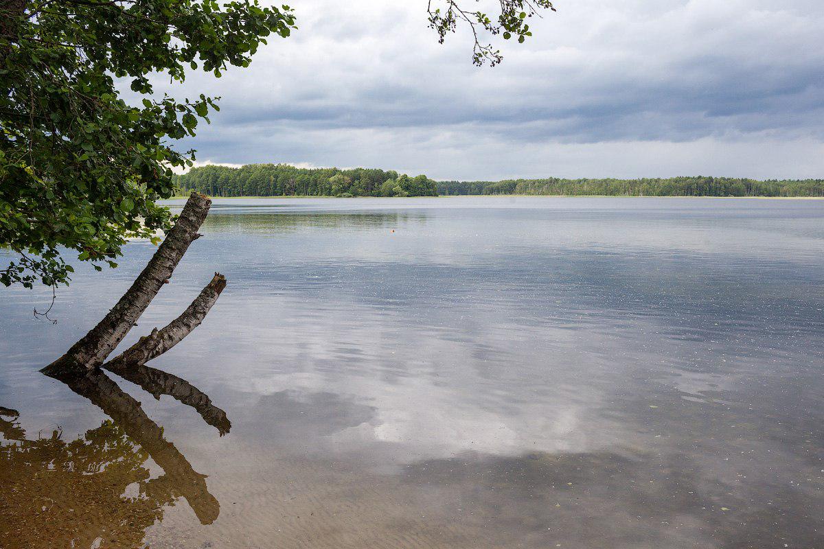 «Зеленый фронт» сообщил об обмелении самого глубокого озера в Калининградской области