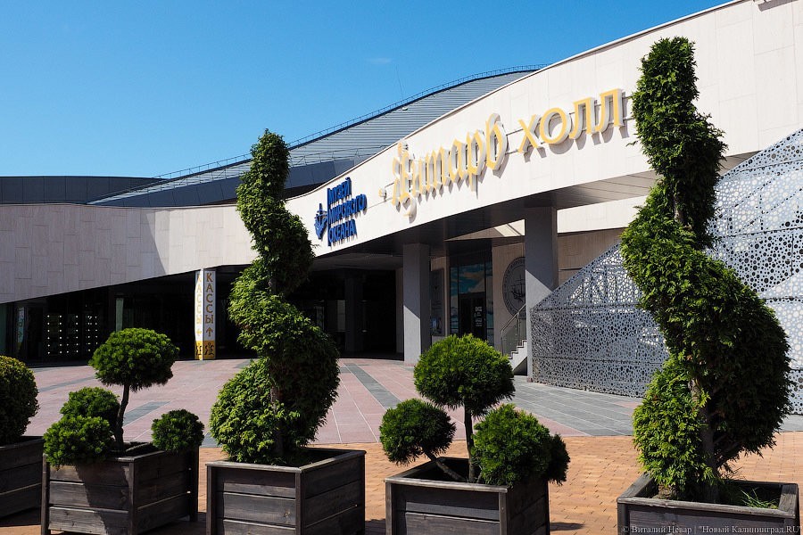 Фото — Виталий Невар, «Новый Калининград»