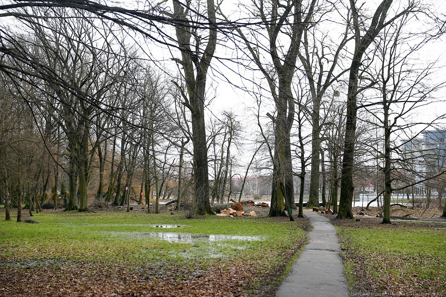 Власти рассказали об итогах встречи с общественностью по вопросу зелёных зон