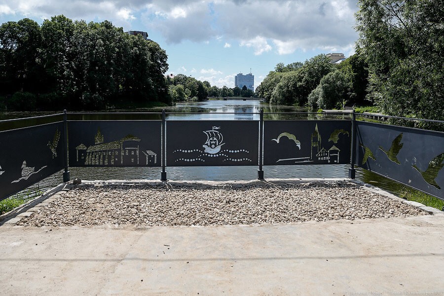 Мэрия выделяет 1,6 млн на посадку тысячи кустарников и 16 деревьев у Нижнего озера