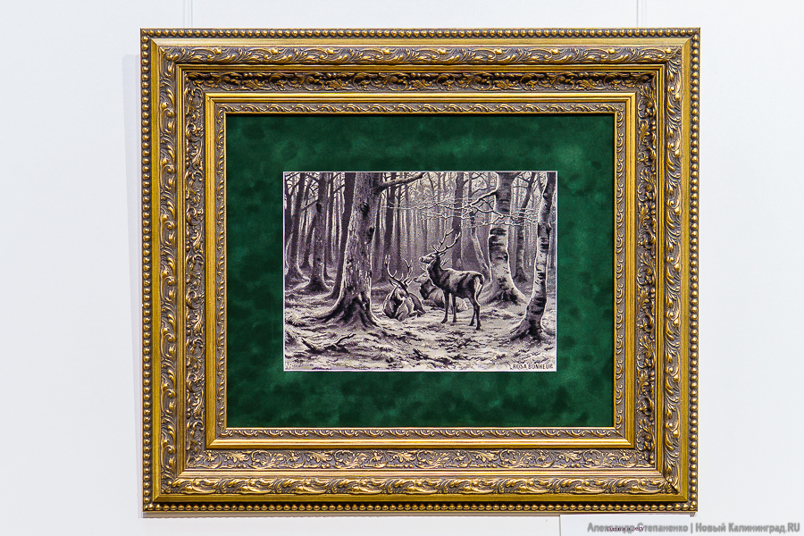 «С французским шармом»: в Калининграде открылась выставка шелковых картин (фото)