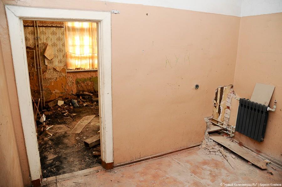 "Инфекционные горизонты": репортаж "Нового Калининграда.Ru"