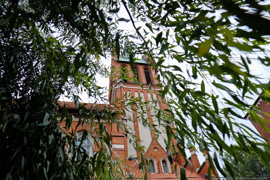 С личного завода кайзера: филармония хочет запустить экскурсии на колокольню (фото)