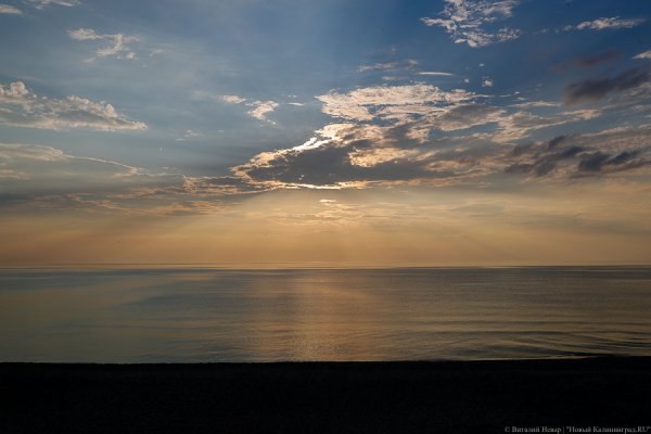Фото: Виталий Невар / «Новый Калининград»