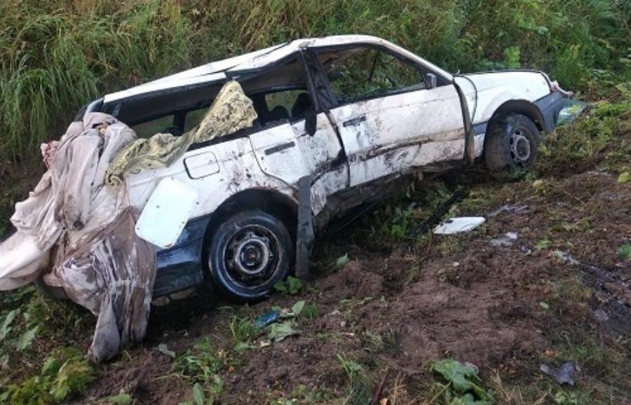 В Озерском районе автомобиль врезался в дерево, пострадали дети (фото)