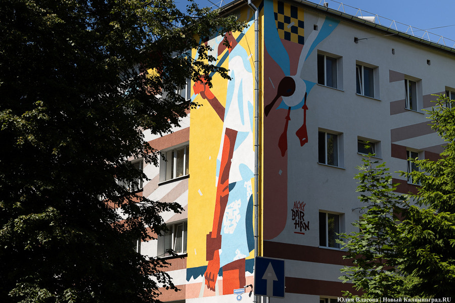 То, чему предстоит стать классикой: на зданиях БФУ им. Канта нарисовали четыре мурала (фото)