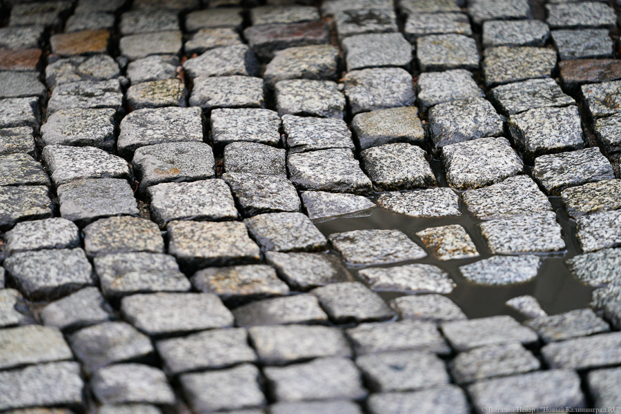 В Советске булыжник из-под колеса автобуса разбил стекло в автомобиле. Пострадал пассажир (фото)