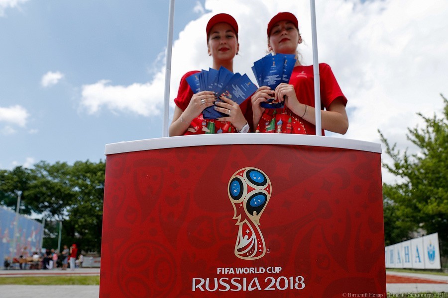 Роспотребнадзор открыл горячую линию к ЧМ-2018