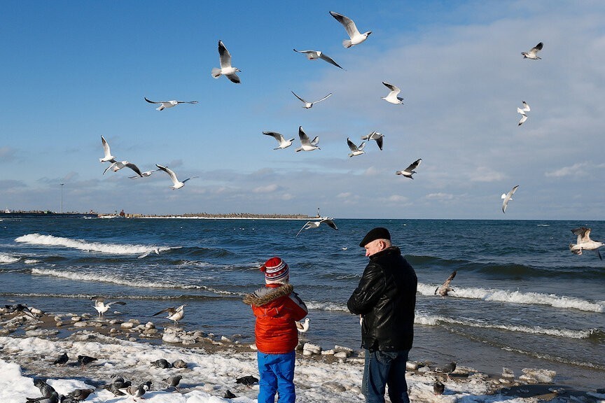 Фото — Виталий Невар, «Новый Калининград»