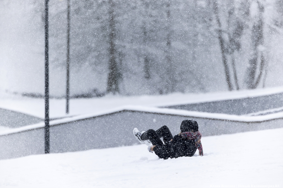 Пролетая на ватрушке: как в Центральном парке катаются с горки вопреки запретам (фото)