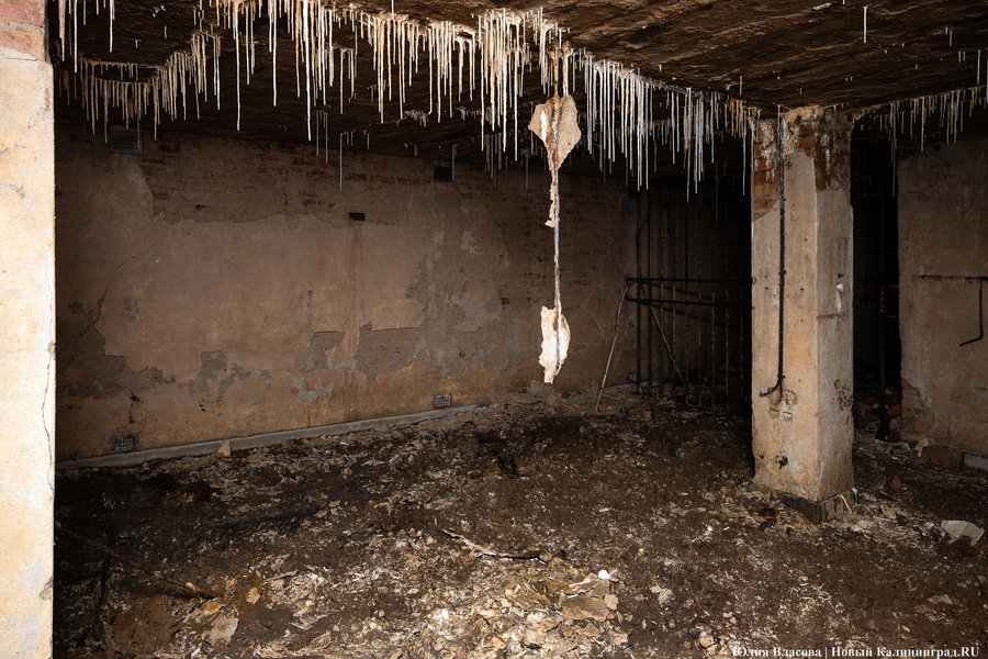 Настоящие подземелья Кёнигсберга: что находится в открывшемся провале на острове Канта (фото)