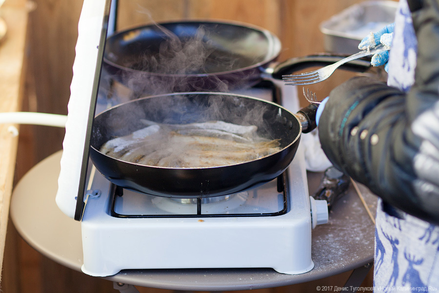 Рыба большая и маленькая: как прошёл День корюшки в Ниде
