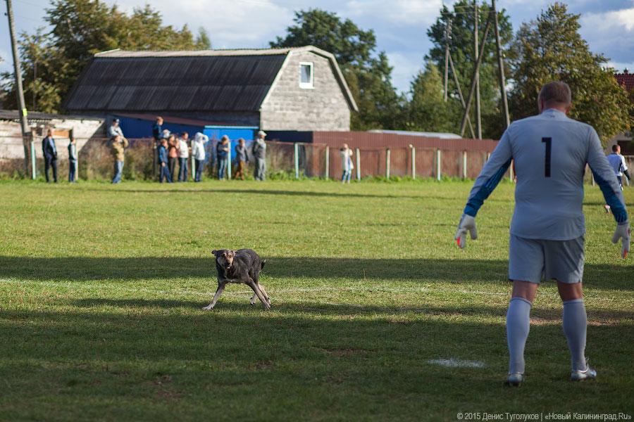 Команда молодости нашей: как ветераны ФК «Спартак» на селе в футбол играли