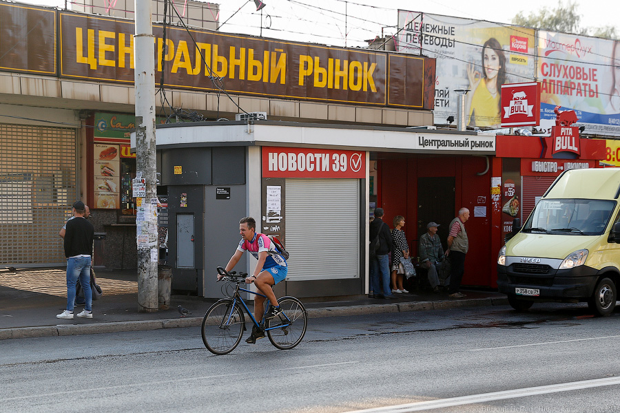 Неуловимый мститель: хроника борьбы мэрии с пошедшим ва-банк «БалтАвтоЛайном»