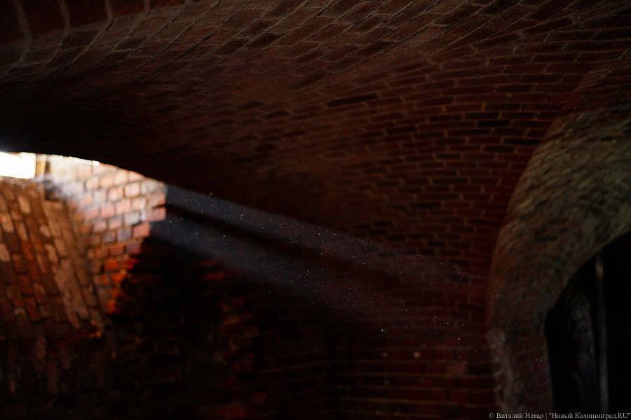 «Мы знали только о войне»: калининградец открывает музей ресторанной жизни Восточной Пруссии