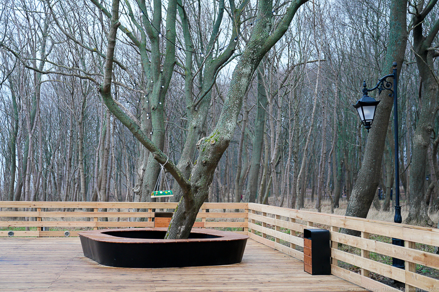 Иностранные агенты, силовики и персональные данные: нововведения марта